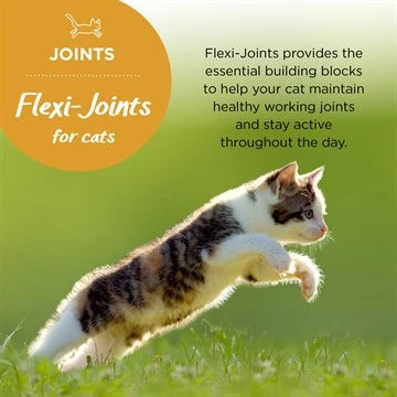 Flexi-Joints for Cats 120 Tabs