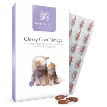 Glossy Coat Omega for Cats & Dogs 120 Caps